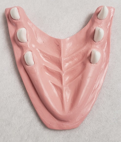 Basic Northern Sergal Jawset