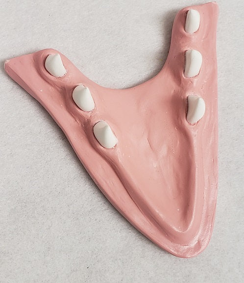 Basic Northern Sergal Jawset