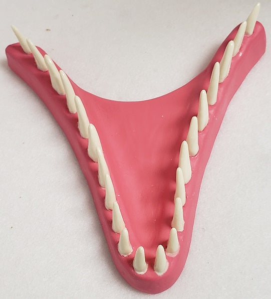 Basic JW Velociraptor Jawset