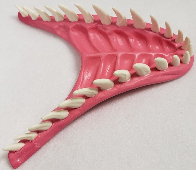 Basic JW Velociraptor Jawset