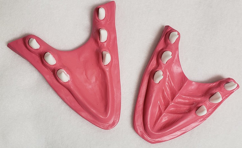 Basic Northern Sergal Jawset