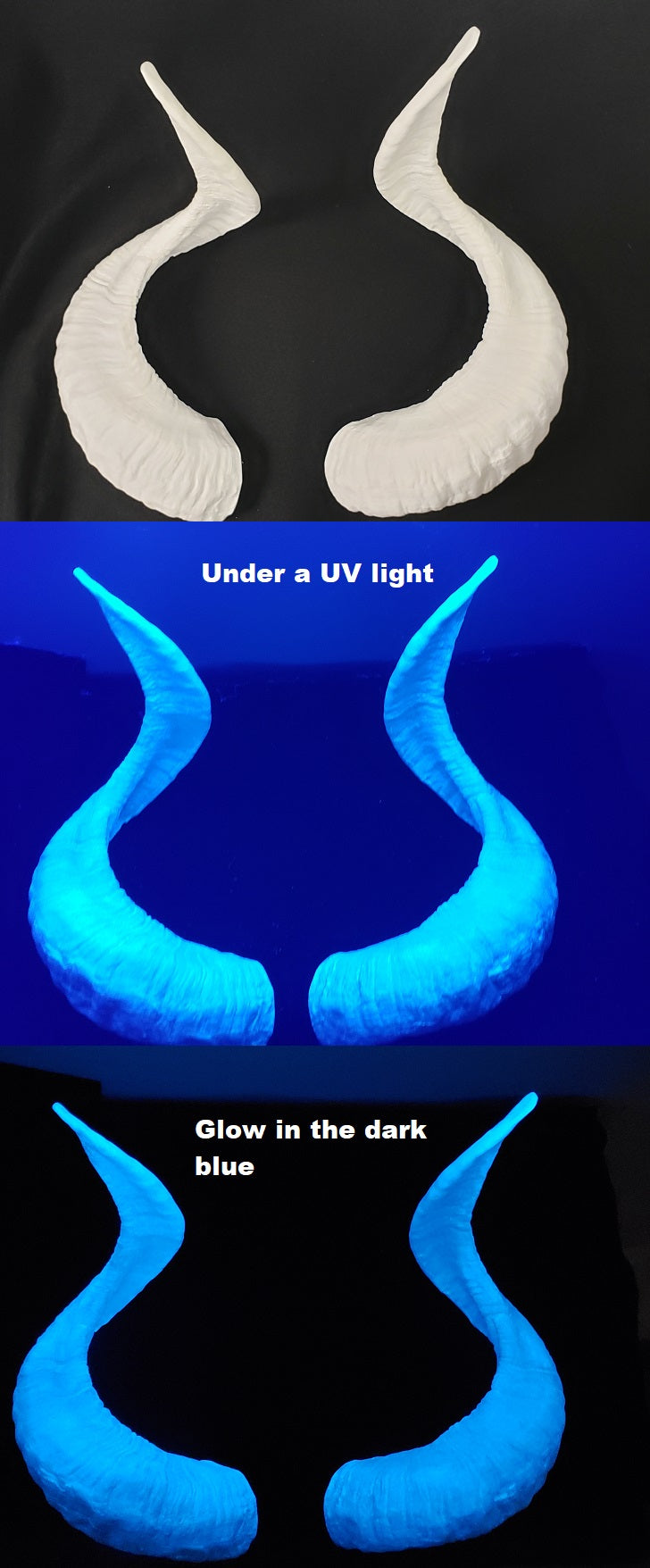 Plastic Glow in the Dark Corsican Ram Horns