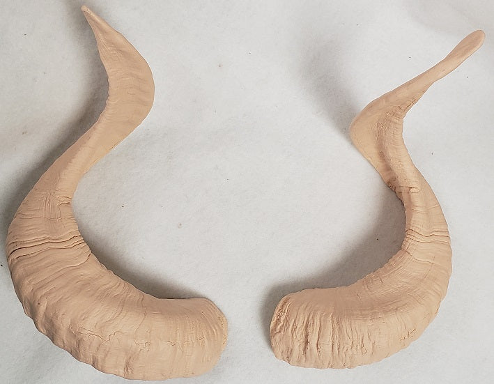 Plastic Opaque Corsican Ram Horns