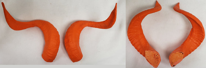 Plastic Opaque Corsican Ram Horns