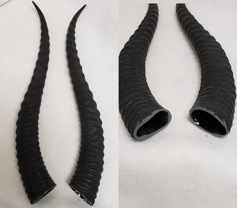 Plastic Opaque Sable Antelope Horns