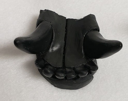Replacement Skeletal K9 Teeth