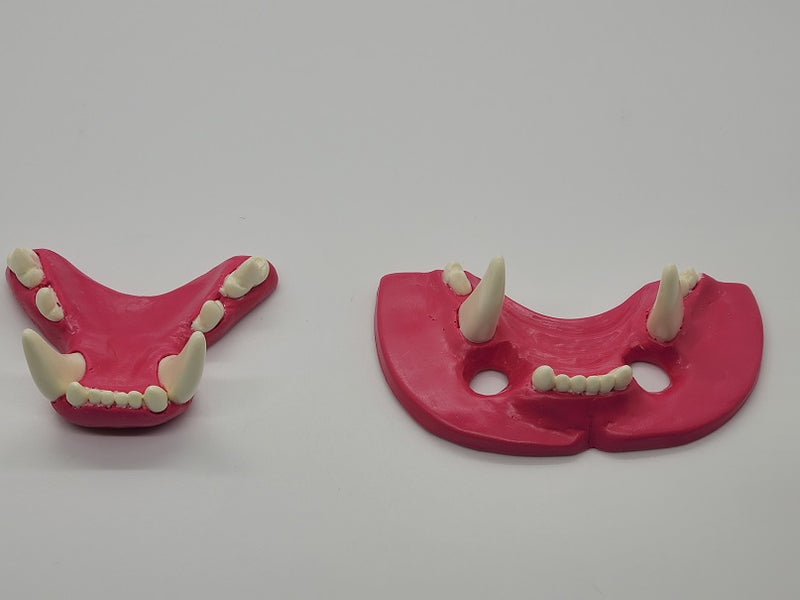 Basic Big Cat Jawset