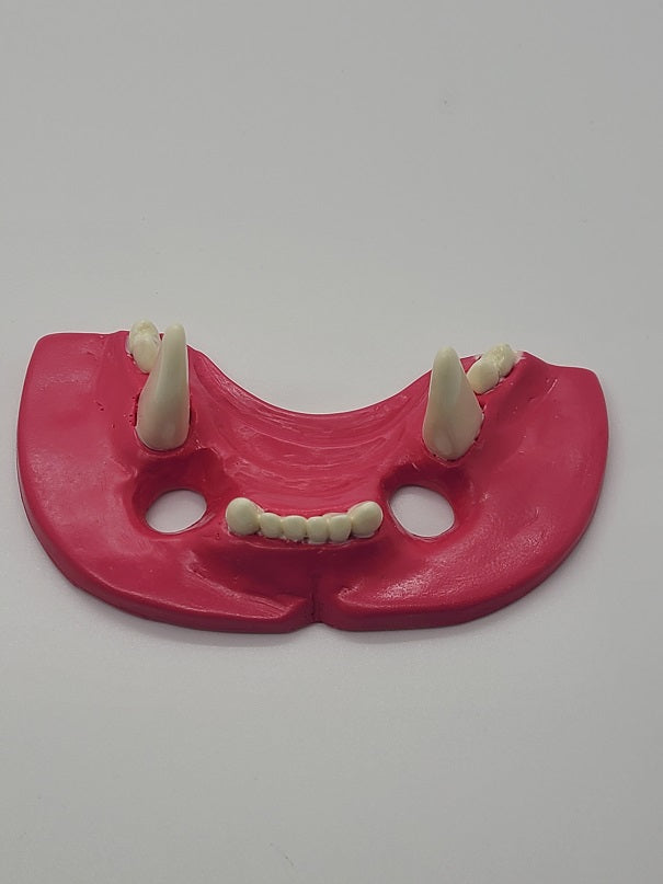 Basic Big Cat Jawset