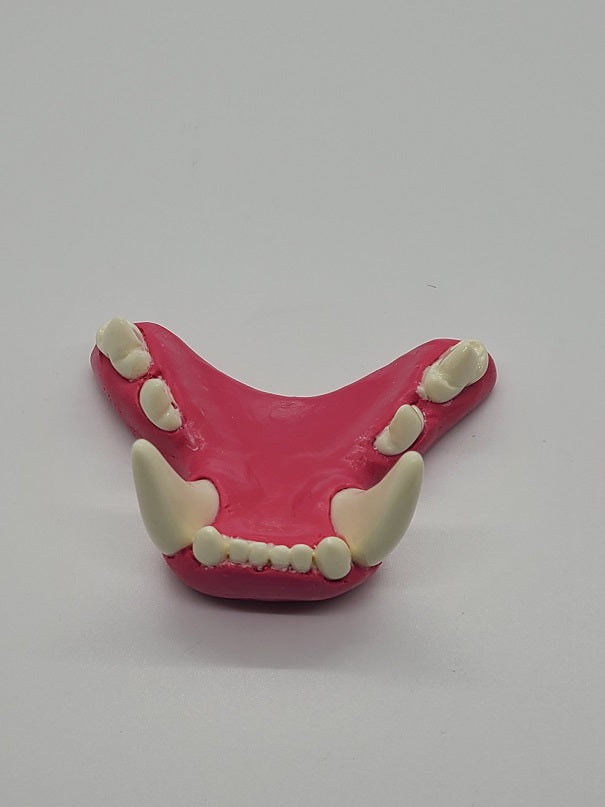 Basic Big Cat Jawset