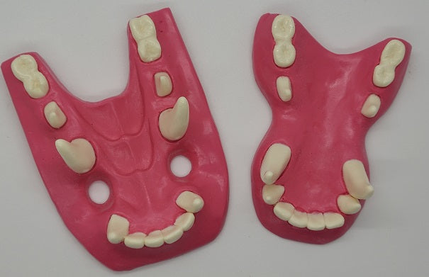 Basic Toony Dragon Jawset