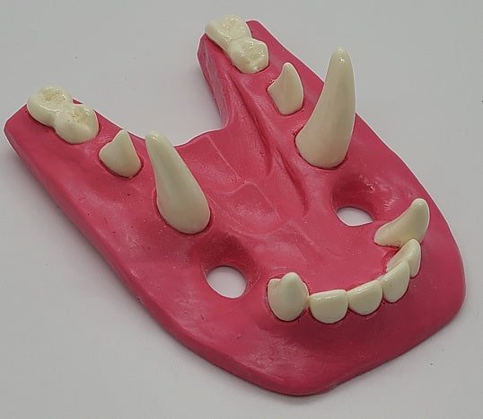 Basic Toony Dragon Jawset