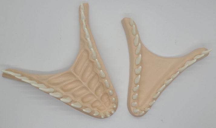 Basic JW Velociraptor Jawset