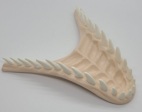 Basic JW Velociraptor Jawset