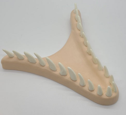 Basic JW Velociraptor Jawset