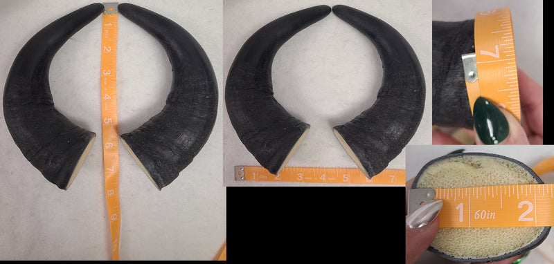 Plastic Opaque Medium Buffalo Horns