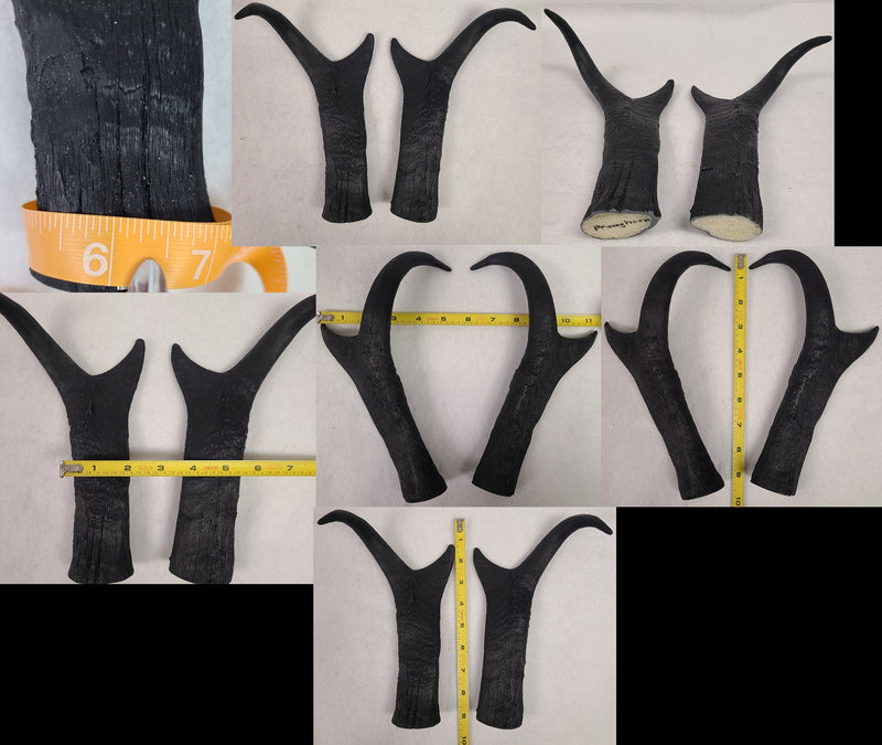 Plastic Opaque Pronghorn Antelope Horns