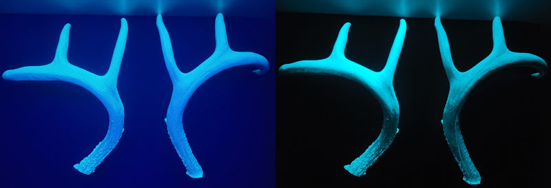 Plastic Glow in the Dark Large Whitetail Deer Antlers