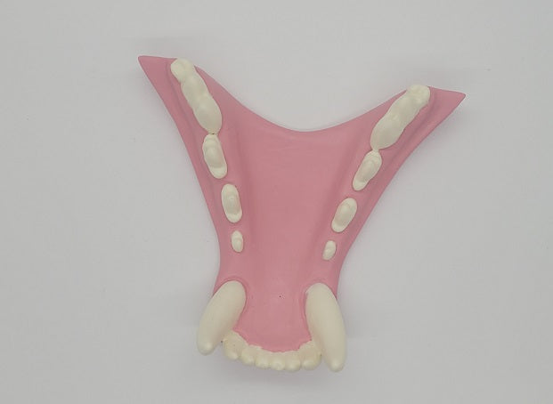 Basic Werewolf Jawset