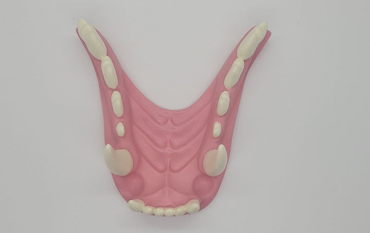 Basic Werewolf Jawset