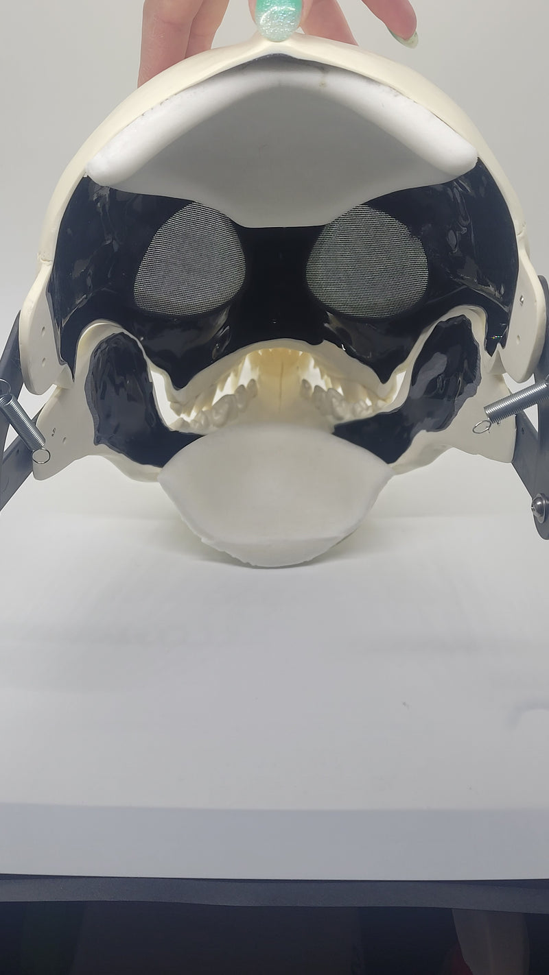 Foam Padding and Chin Cup