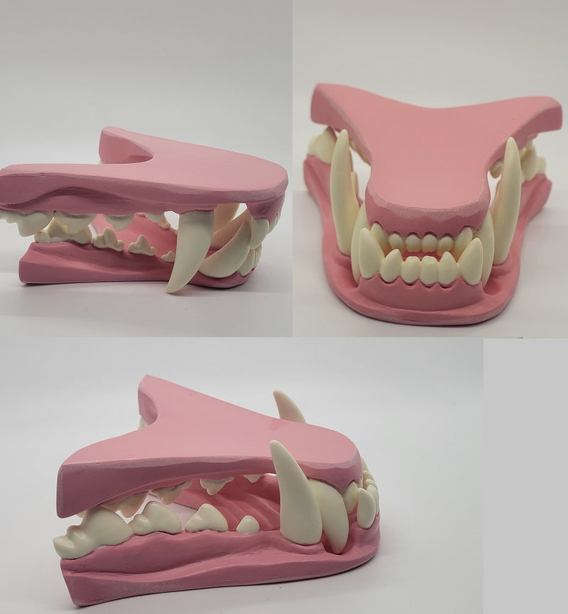 Basic Werewolf Jawset