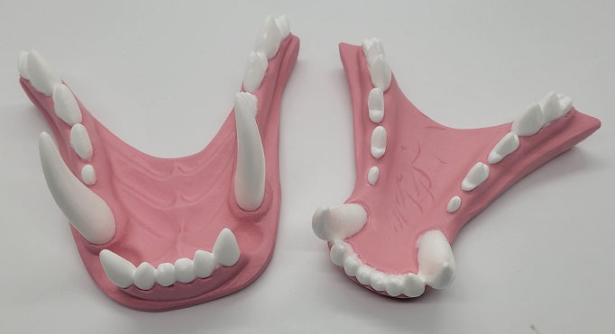 Basic Werewolf Jawset