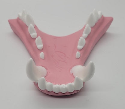 Basic Werewolf Jawset