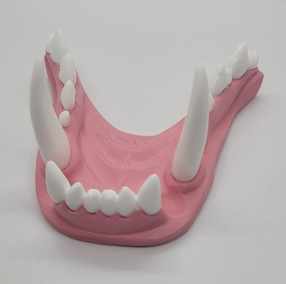 Basic Werewolf Jawset