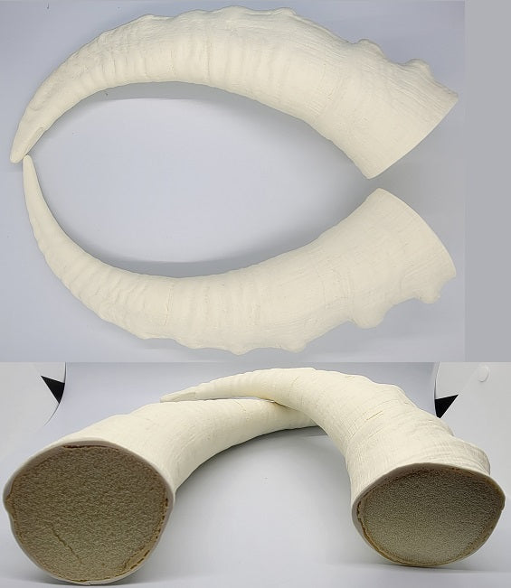 Plastic Opaque Caucasian tur Antelope Horns