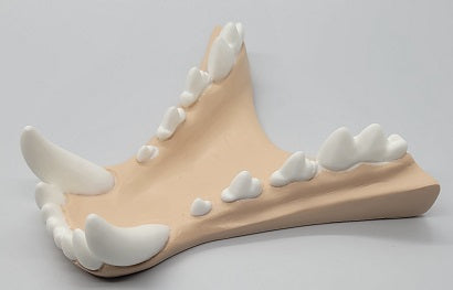 Basic Werewolf Jawset