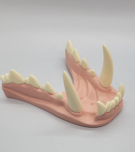 Basic Werewolf Jawset