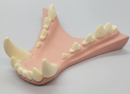 Basic Werewolf Jawset