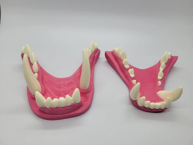 Basic Werewolf Jawset