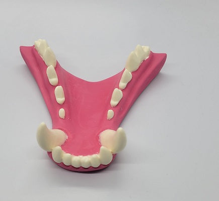 Basic Werewolf Jawset