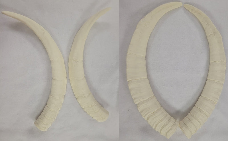 Plastic Opaque Highland Goat Horns