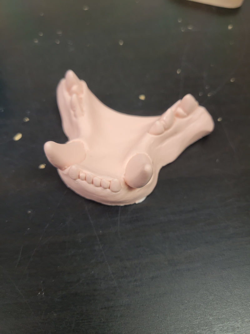 Discounted Item: Jawset Parts