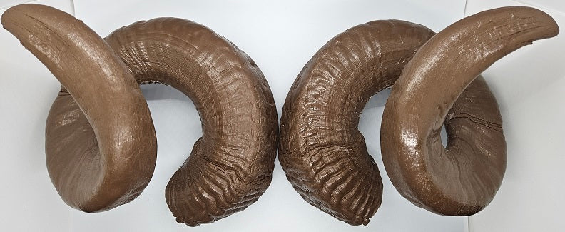 Plastic Opaque Double Curl Ram Horns