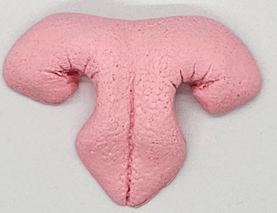 Plastic Realistic Medium Feline Nose