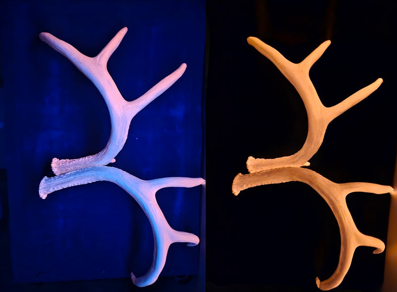 Plastic Glow in the Dark Large Whitetail Deer Antlers