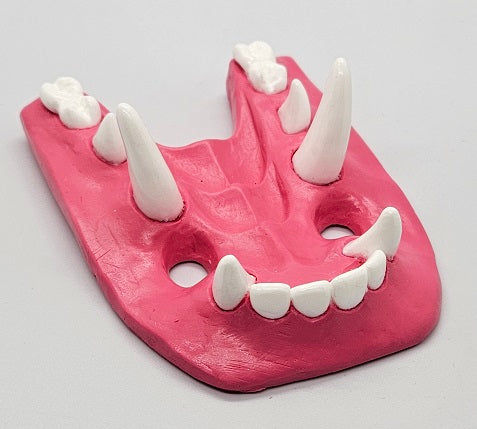 Basic Toony Dragon Jawset