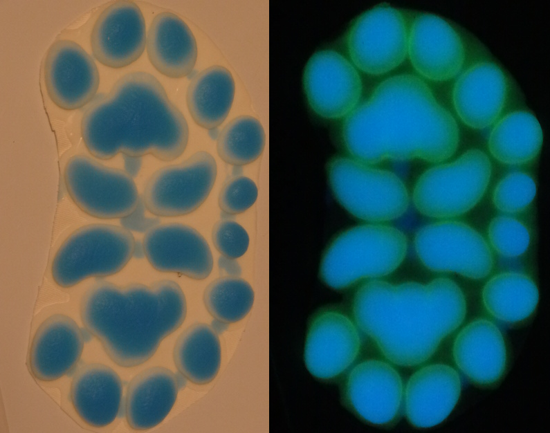Silicone Glow in the Dark Anthro K9 Handpads