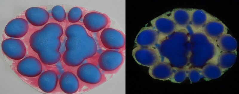 Silicone Glow in the Dark Anthro K9 No Heels Handpads