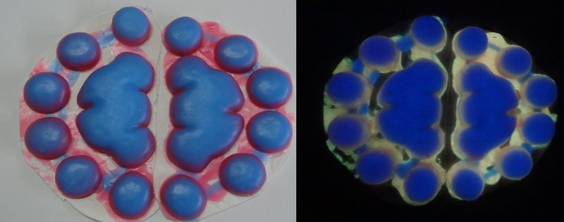 Silicone Glow in the Dark Feral Feline Handpads