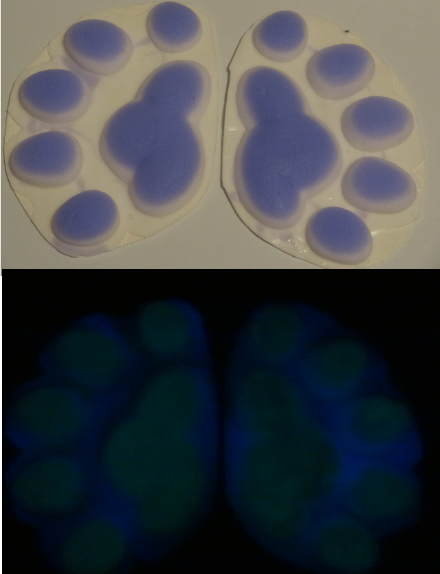 Silicone Glow in the Dark Polar Bear Handpads