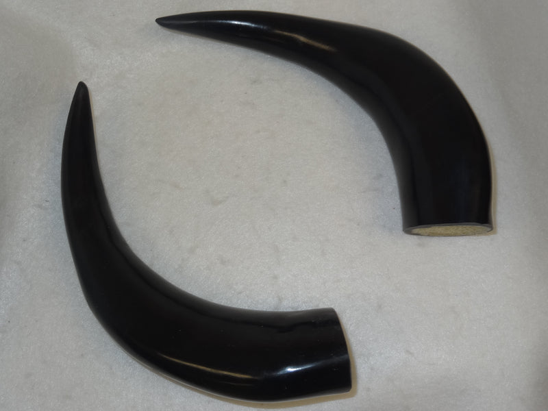 Plastic Opaque Medium Bull Horns