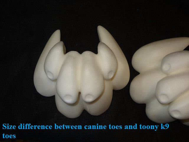 Foam Small Canine Toes