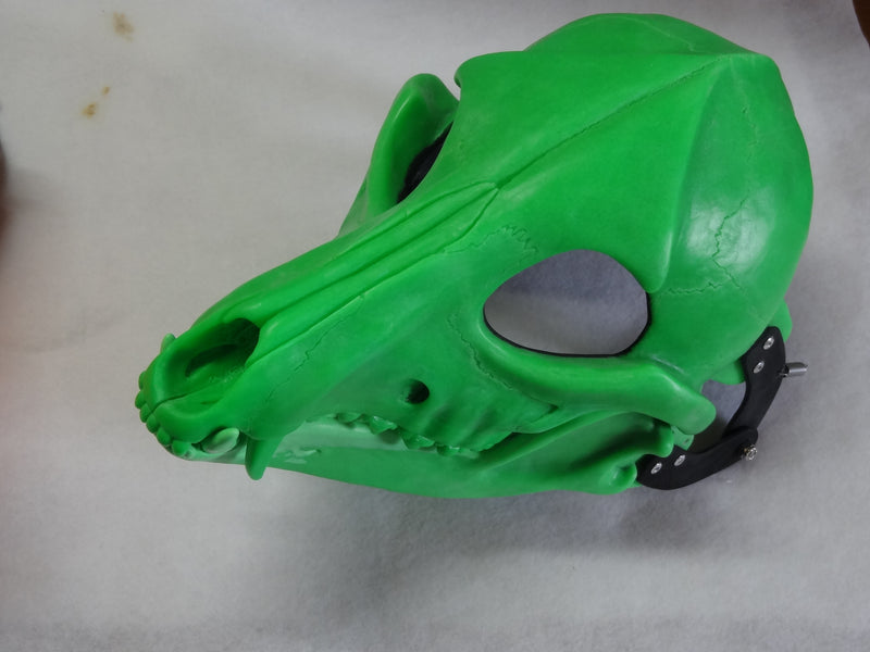 Specialty Cut and Hinged Skeletal K9 Resin Mask Blank