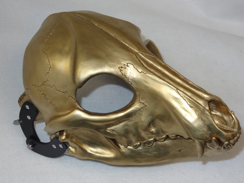 Specialty Cut and Hinged Skeletal K9 Resin Mask Blank