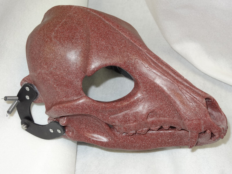 Specialty Cut and Hinged Skeletal K9 Resin Mask Blank