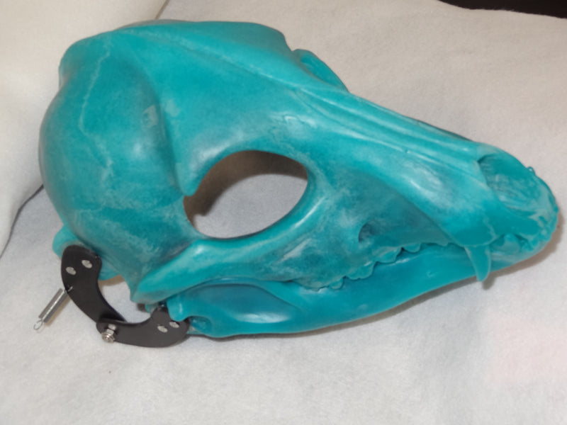 Specialty Cut and Hinged Skeletal K9 Resin Mask Blank